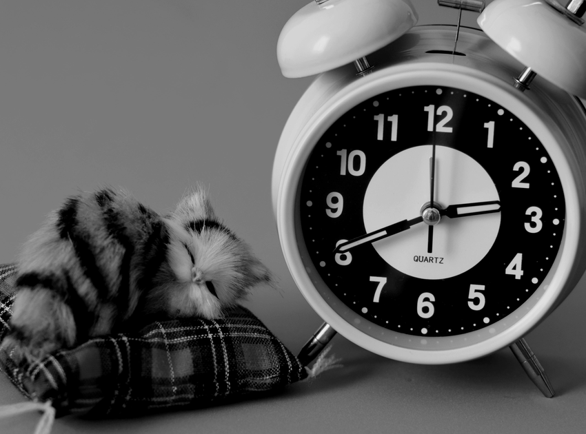 Array怪不得说「熬夜后适合来杯咖啡」！最新研究：规律喝咖啡7天，靶向阻断受体，能成功逆转/缓解熬夜导致的记忆损伤