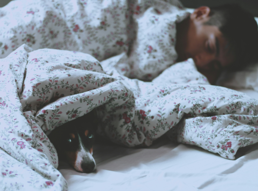Array科学家发现大脑中触发睡眠的关键神经元