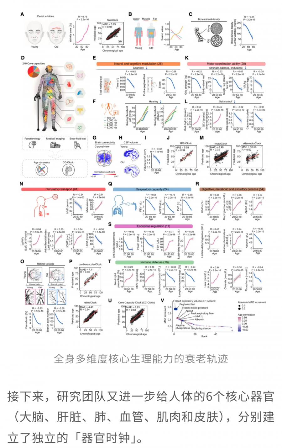 1779852073781968zjxW.png 22.png